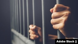 প্রতীকী ছবি। 