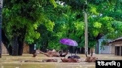 বাংলাদেশের দক্ষিণ-পূর্বাঞ্চলে বৃষ্টিপাত অব্যাহত, জলবন্দী কয়েক লাখ মানুষ