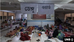 ডেঙ্গুতে কাতর ঢাকা মহানগর, হাসপাতালে শয্যা সংকট। 