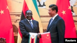 2014年8月25日，津巴布韦总统穆加贝访问中国。图为中国国家主席习近平在人民大会堂举行的欢迎仪式上与穆加贝（左）握手。