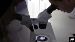 FILE - A computer chip is being viewed through a microscope at the 21st China Beijing International High-Tech Expo, in Beijing, China, May 17, 2018. U.S. export restrictions are now targeting Chinese chip maker SMIC.