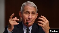 Dr Fauci