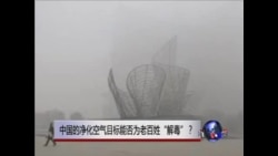 时事大家谈: 中国的净化空气目标能否为老百姓“解毒”