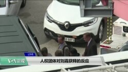 VOA连线(方冰)：人权团体对刘霞获释的反应