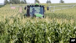 Trump Trade Farmers