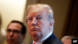 Trump Veto 