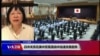 VOA连线(歌篮)：日中关系在美中贸易激战中加速改善趋势
