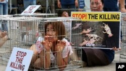 A South Korean animal rights activist confines herself in a cage during a campaign opposing South Korea's culture of eating dog meat in Seoul, South Korea, Aug. 11, 2017. In Indonesia, animal welfare groups are calling for the closing of markets where dogs, and other animals, are slaughtered for food.