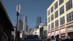Typhus on Rise in Los Angeles, Several Other US Cities