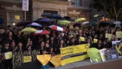 ผู้สนับสนุนการประท้วงในฮ่องกงราว 200 คนเดินขบวนในกรุงวอชิงตัน