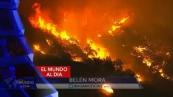 El Mundo al Día