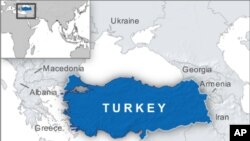 Necîba Gûneş Derbarê tûnd û tîjîya li Dijî Jinan li Tirkîye Dipeyive
