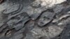  Dry Weather Uncovers Stone Designs under Amazon River