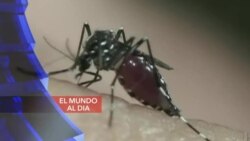 El Mundo al Día