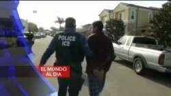 El Mundo al Día