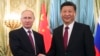 俄罗斯总统普京在克里姆林宫会晤到访的中国国家主席习近平。（2017年7月4日）