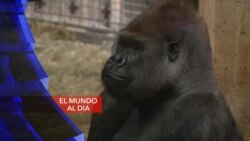 El Mundo al día