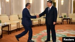 中国国家主席习近平在北京人大会堂会晤到访的世界卫生组织总干事谭德塞(2020年1月28日)