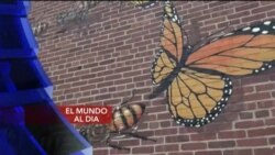 El Mundo al Día